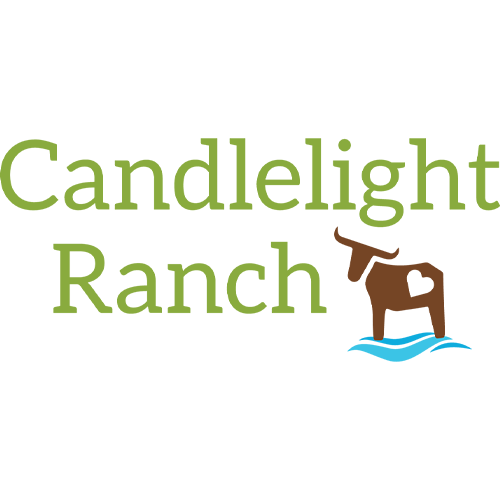 Candle light